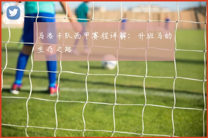马洛卡队西甲赛程详解：升班马的生存之路