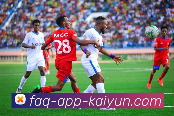 开云app平台生态图